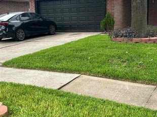 Deneen B.'s lawn maintenance service result
