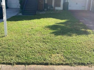 Tracy J.'s lawn care service result