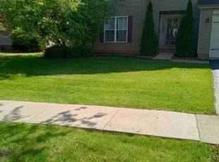 Kim R.'s lawn care service result