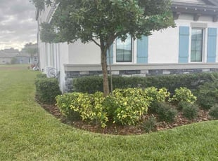 Chandrasekar N.'s grass maintenance service result