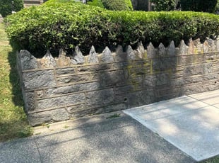 Erik D.'s Bush Trimming service result