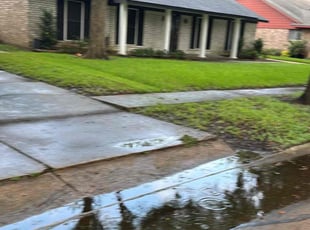 Monica W.'s turf care service result