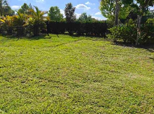 Kerry D.'s lawn care services service result