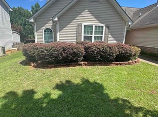 Raymond K.'s Bush Trimming service result