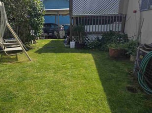 Andrew M.'s grass maintenance service result
