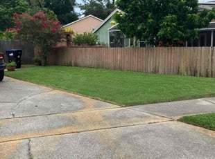 Dorothy L.'s turf care service result