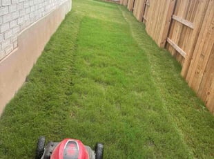Mike E.'s grass maintenance service result