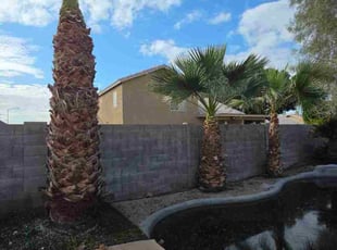 David V.'s Bush Trimming service result