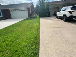 Mary S.'s lawn service service result