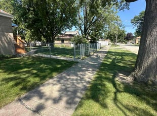 Benjamin C.'s turf care service result