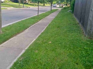 Megan B.'s lawn care service result