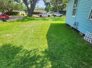 Louise W.'s lawn care services service result