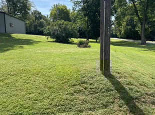 Brian S.'s grass maintenance service result