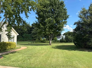 Michele A.'s grass cutting service result