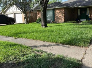Juan G.'s turf maintenance service result