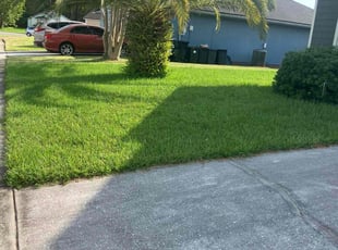 Tiante T.'s turf maintenance service result