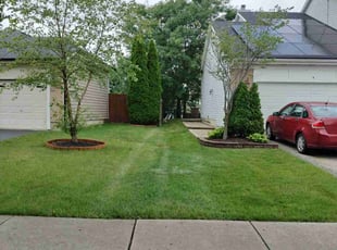 Jennifer P.'s lawn service service result