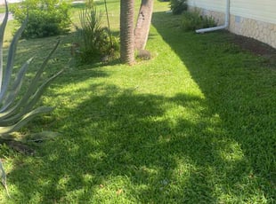 Dustin F.'s lawn service service result