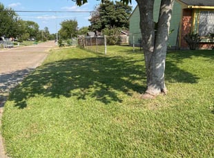 Kandy R.'s turf maintenance service result