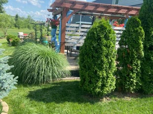 Brian W.'s grass maintenance service result