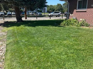 Charles S.'s yard work service result