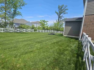Morgan G.'s grass maintenance service result