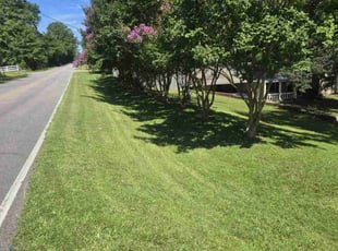 Amy T.'s lawn maintenance service result