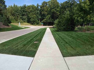 Earl J.'s turf maintenance service result