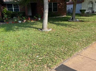 Norma L.'s grass maintenance service result