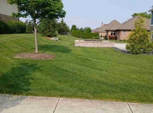 Marina A.'s turf maintenance service result
