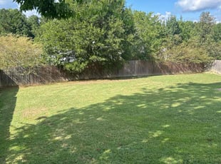 Kevin C.'s turf care service result