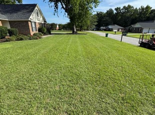 Ramona E.'s lawn maintenance service result