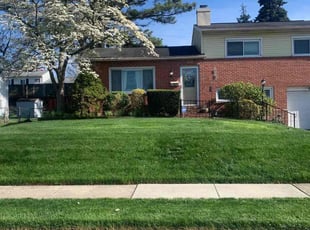 Taylor B.'s lawn care services service result