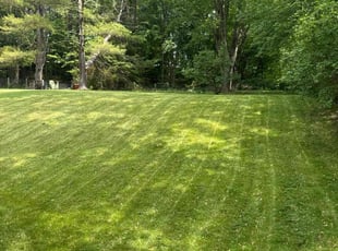 Jim B.'s turf maintenance service result