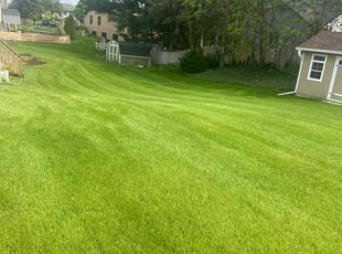 Diane f.'s lawn care service result