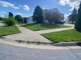 John F.'s grass cutting service result