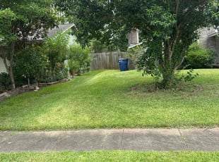 Don H.'s lawn care services service result