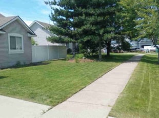 Andria K.'s lawn maintenance service result