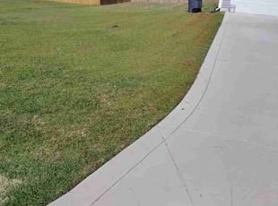 Shanice S.'s turf maintenance service result