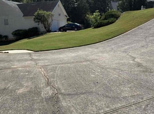 Bill S.'s turf maintenance service result