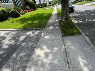 Shavay J.'s grass maintenance service result