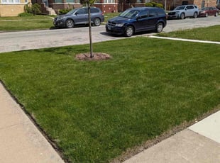 Karen H.'s lawn maintenance service result