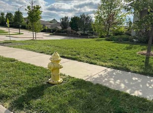 Stephanie J.'s turf maintenance service result