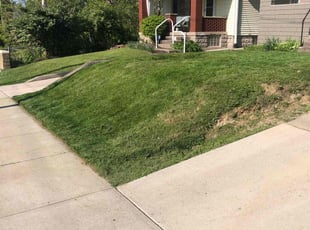 Londa R.'s Long Grass Cleanup service result