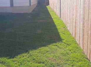 Melissa M.'s turf care service result