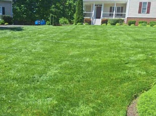 Mitchell B.'s lawn maintenance service result