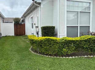 Ebrahim M.'s Bush Trimming service result