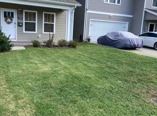 Phyllis R.'s grass maintenance service result