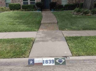 Paul F.'s turf care service result