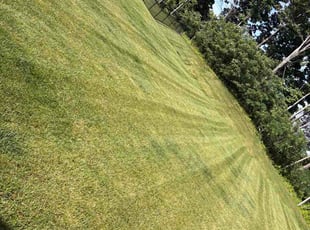 Bradley O.'s lawn maintenance service result